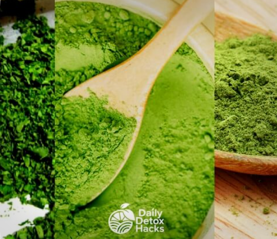 The Best Moringa Powder Supplements, Capsules, Pills and Tea Bag Brands For Every Budget