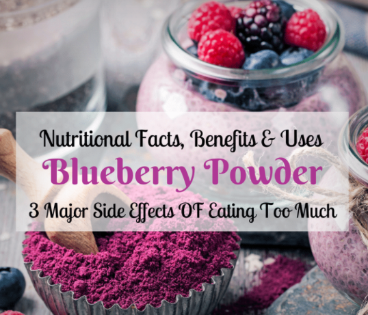 Benefits of Blueberries + Blueberry Powder Nutrition And Uses