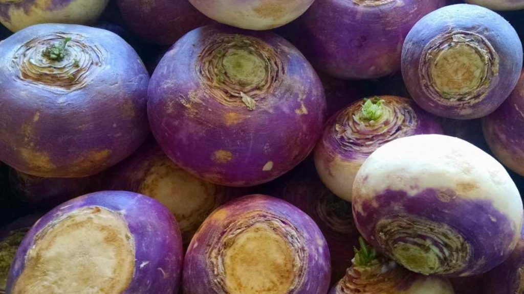 Can I use turnip instead of rutabaga?