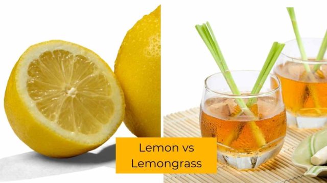 Lemon vs Lemongrass