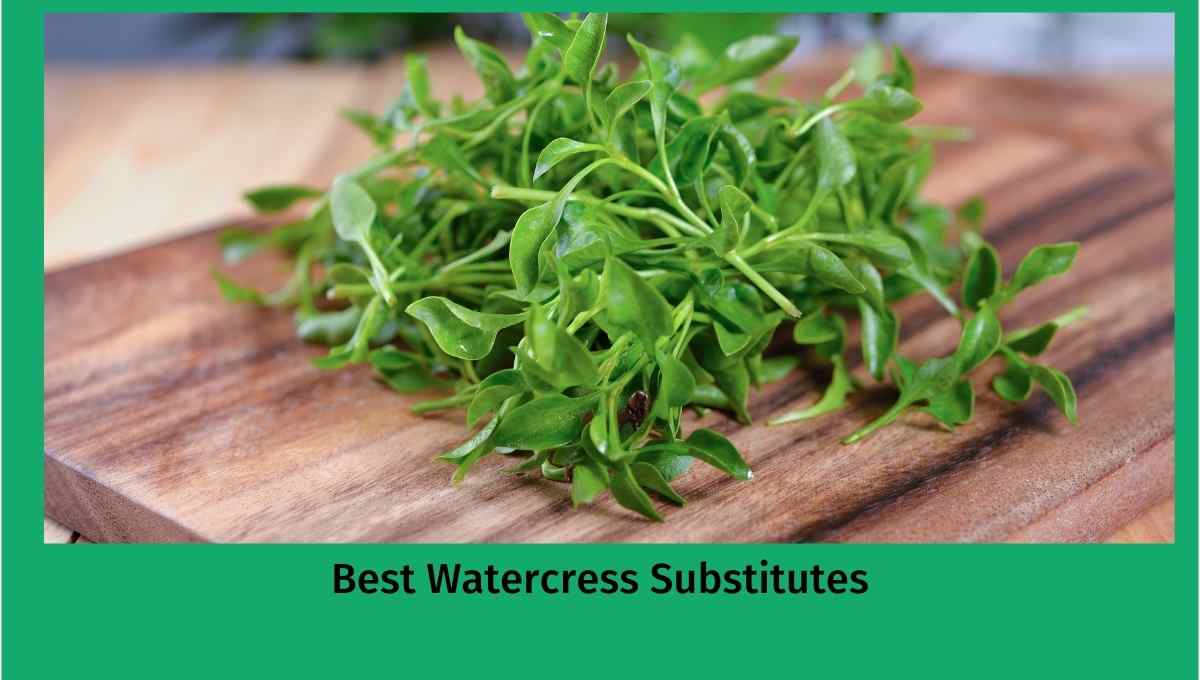 Best Watercress Substitutes