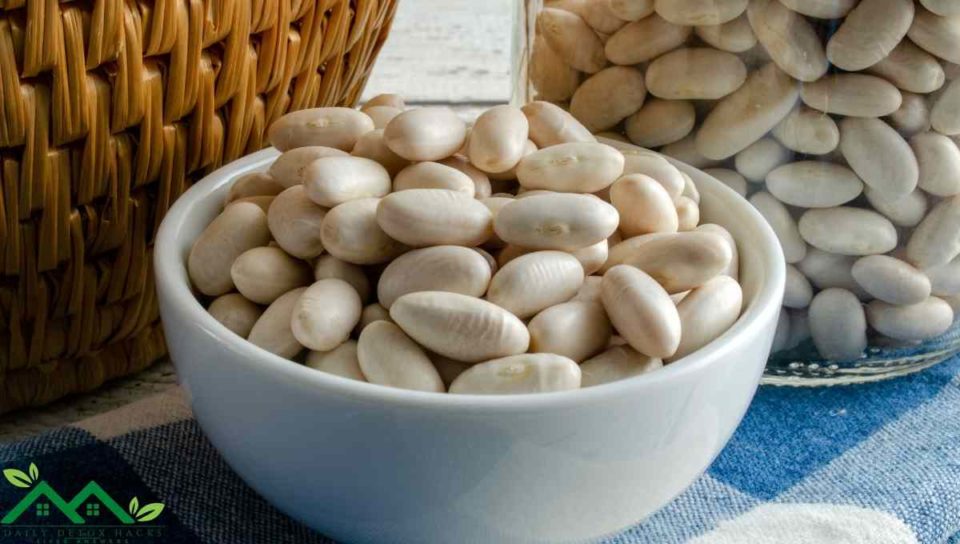 Cannellini Beans Substitutes