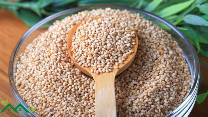 White Sesame Seeds Are an Alternative for Chia Seeds