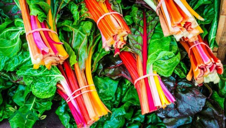 What Makes Swiss Chard a Good Replacement for Bok Choy