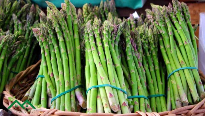Asparagus Is a Crisp Alternative to Green Beans