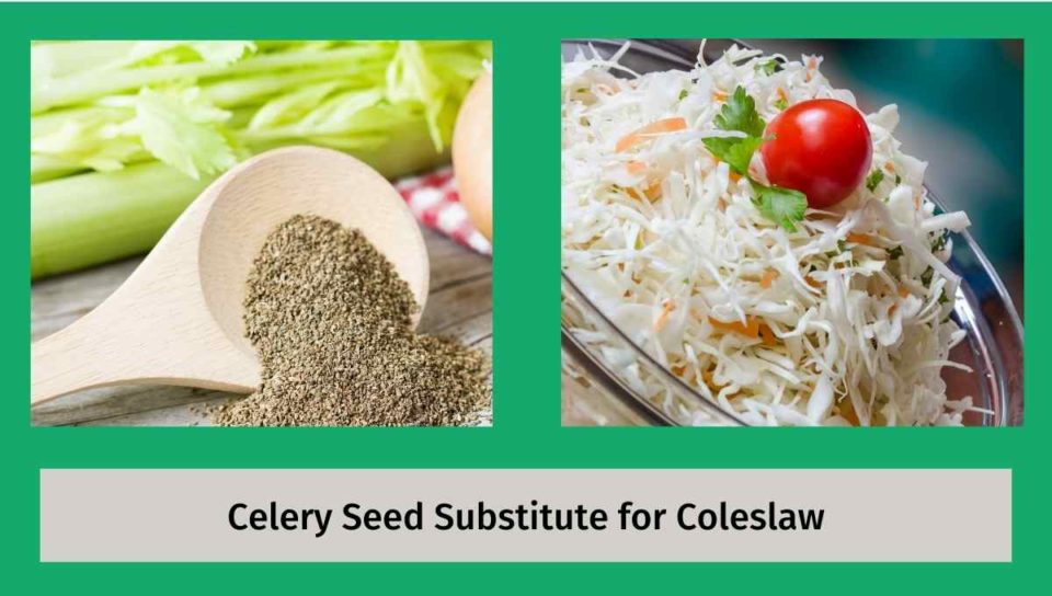 Celery Seed Substitute for Coleslaw
